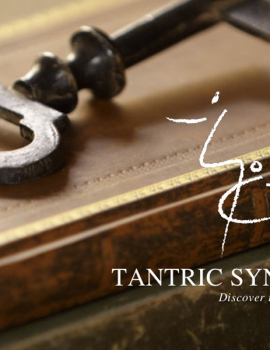 Tantric Synergy